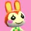 Bunnie