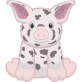 Pua