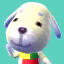 Daisy